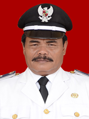 NEMIN BIN H. SAIN